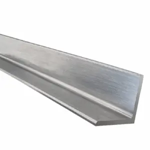 Stainless Steel Angle